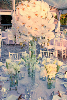 centerpieces fill of phalaenopsis orchids